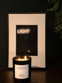 French Connection Home Accessories-Classic 251g Candle