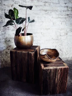 French Connection Home Accessories|Tableware-Dikita Mango Wood Bowl