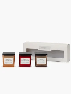 French Connection Home Accessories-Indulgence Candles (Set Of 3)