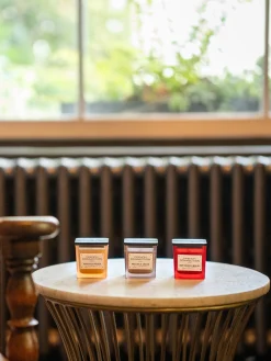 French Connection Home Accessories-Indulgence Candles (Set Of 3)