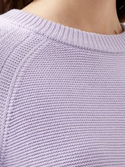 French Connection Jumpers & Cardigans-Lily Mozart Long Sleeve Crew Neck Jumper