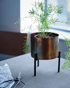 French Connection Home Accessories|Planters-Molten Copper Desktop Planter