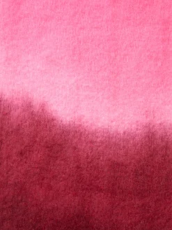 French Connection Scarves-Ombre Soft Touch Scarf